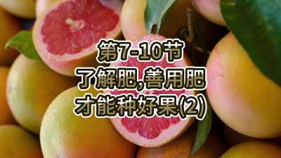 第7-10节-了解肥、善用肥，才能种好果