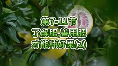 第7-11节-了解肥、善用肥，才能种好果