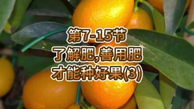 第7-15节-了解肥、善用肥，才能种好果