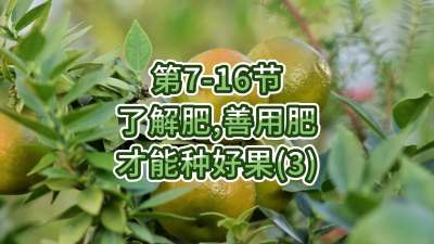第7-16节-了解肥、善用肥，才能种好果