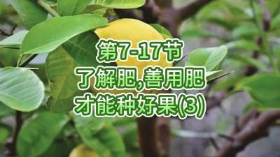 第7-17节-了解肥、善用肥，才能种好果
