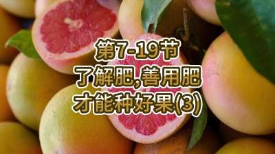 第7-19节-了解肥、善用肥，才能种好果