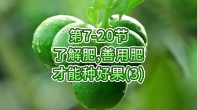 第7-20节-了解肥、善用肥，才能种好果