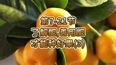 第7-21节-了解肥、善用肥，才能种好果