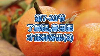 第7-23节-了解肥、善用肥，才能种好果