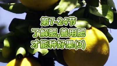 第7-24节-了解肥、善用肥，才能种好果