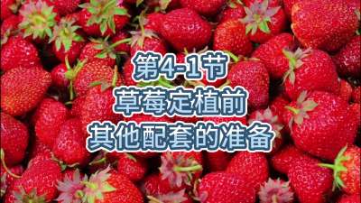 第4-1节-草莓定植前其他配套的准备
