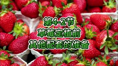 第4-2节-草莓定植前其他配套的准备