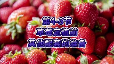 第4-3节-草莓定植前其他配套的准备