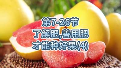 第7-26节-了解肥、善用肥，才能种好果