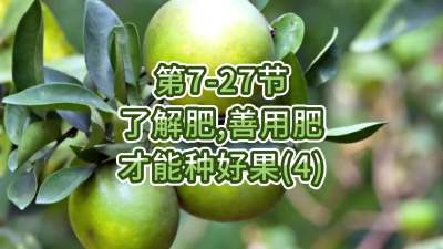 第7-27节-了解肥、善用肥，才能种好果