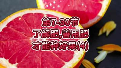 第7-30节-了解肥、善用肥，才能种好果