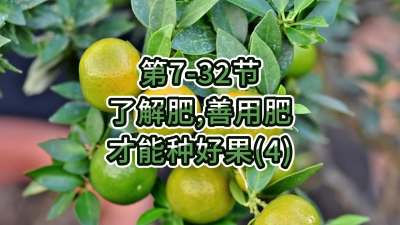 第7-32节-了解肥、善用肥，才能种好果