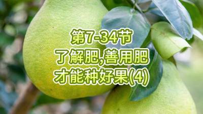 第7-34节-了解肥、善用肥，才能种好果