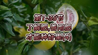 第7-35节-了解肥、善用肥，才能种好果