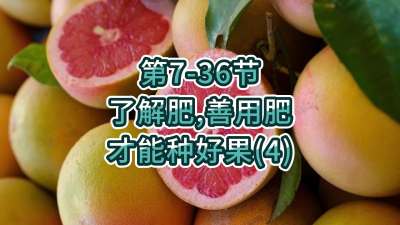 第7-36节-了解肥、善用肥，才能种好果