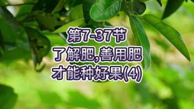第7-37节-了解肥、善用肥，才能种好果