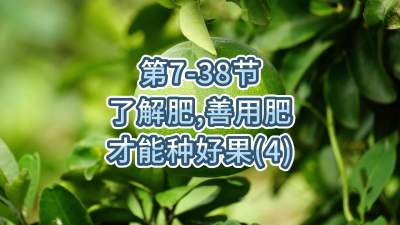 第7-38节-了解肥、善用肥，才能种好果