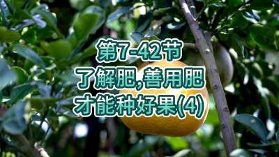 第7-42节-了解肥、善用肥，才能种好果