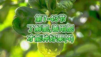 第7-43节-了解肥、善用肥，才能种好果