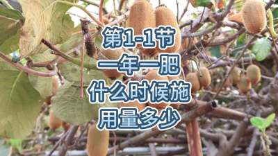 第1-1节-一年一肥什么时候施，用量多少