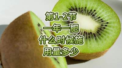 第1-2节-一年一肥什么时候施，用量多少