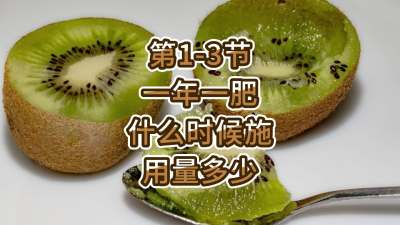 第1-3节-一年一肥什么时候施，用量多少