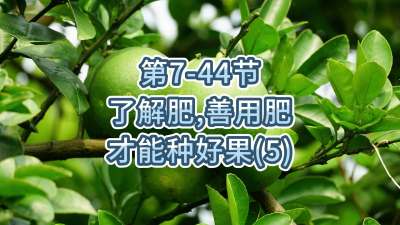 第7-44节-了解肥、善用肥，才能种好果