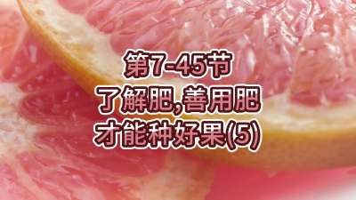 第7-45节-了解肥、善用肥，才能种好果