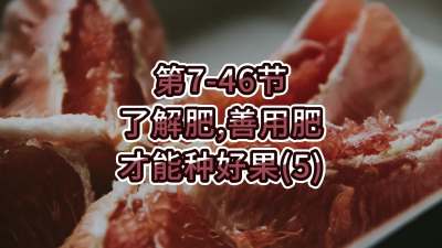 第7-46节-了解肥、善用肥，才能种好果