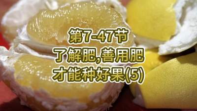第7-47节-了解肥、善用肥，才能种好果