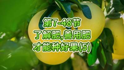 第7-48节-了解肥、善用肥，才能种好果