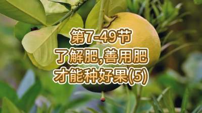 第7-49节-了解肥、善用肥，才能种好果