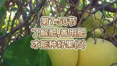 第7-50节-了解肥、善用肥，才能种好果