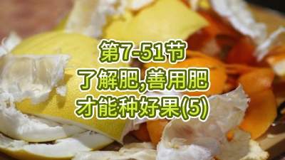 第7-51节-了解肥、善用肥，才能种好果