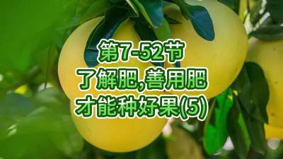第7-52节-了解肥、善用肥，才能种好果