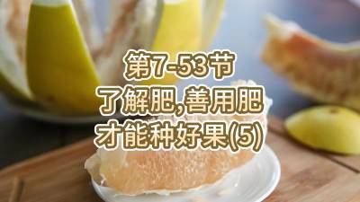第7-53节-了解肥、善用肥，才能种好果