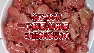 第7-54节-了解肥、善用肥，才能种好果