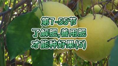 第7-55节-了解肥、善用肥，才能种好果