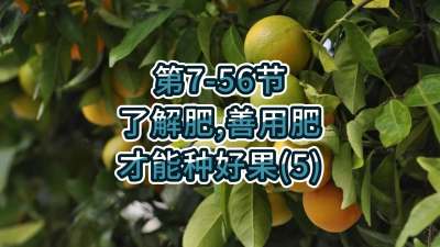 第7-56节-了解肥、善用肥，才能种好果