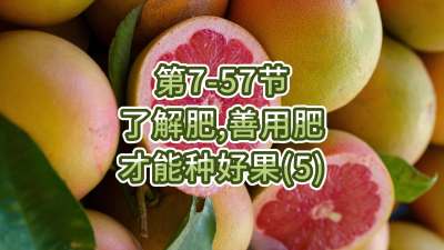 第7-57节-了解肥、善用肥，才能种好果