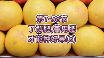 第7-58节-了解肥、善用肥，才能种好果