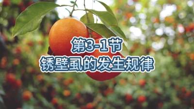 第3-1节-锈壁虱的发生规律