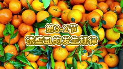 第3-2节-锈壁虱的发生规律
