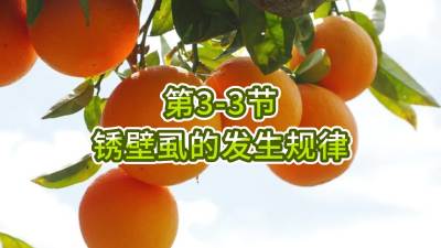 第3-3节-锈壁虱的发生规律