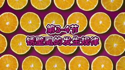 第3-4节-锈壁虱的发生规律