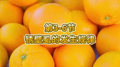 第3-6节-锈壁虱的发生规律