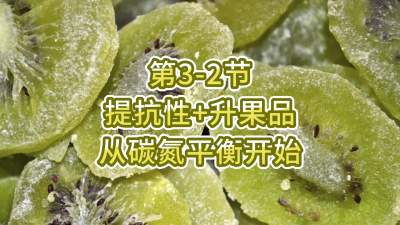 第3-2节-提抗性升果品，从碳氮平衡开始