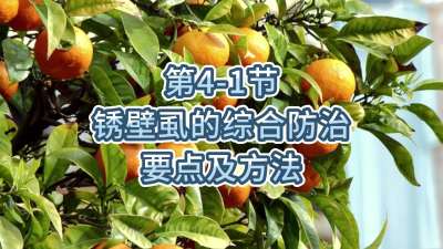 第4-1节-锈壁虱的综合防治要点及方法