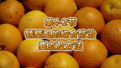第4-2节-锈壁虱的综合防治要点及方法